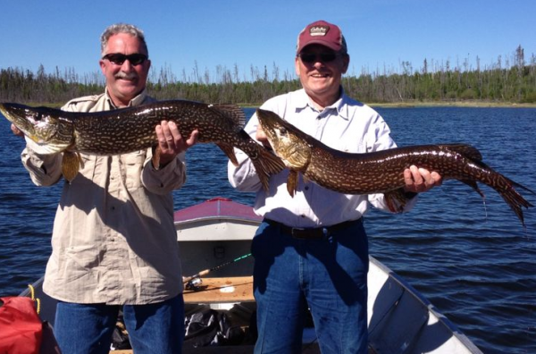 Two men standing in a boat hold large fish with a lake and tree line in the background, both smiling at the camera.