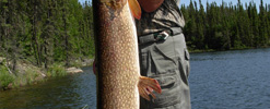 Man standing in a boat on a lake holding a large fish upright with trees visible in the background.