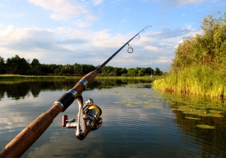 A fishing rod held over a calm lake with lily pads, surrounded by green trees and reeds under a partly cloudy sky.