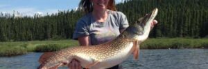 Person standing on a boat holds a large fish with both hands, with a forested shoreline in the background.