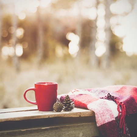 A red mug, pinecones, and a red plaid blanket sit on a wooden surface outdoors with a blurred background.