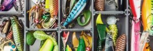 A tackle box filled with various colorful fishing lures and soft plastic baits organized in compartments.