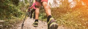 Close-up of hikers walking uphill on a rocky trail with trekking poles in a wooded area on a sunny day.