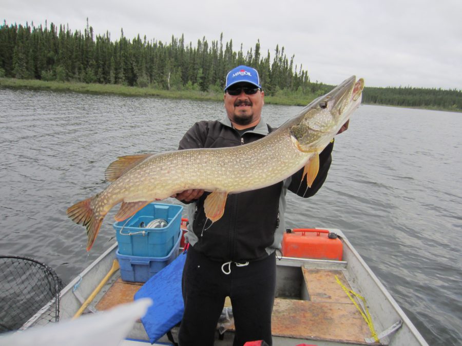 A man standing on a small boat holds a large fish with a forested shoreline in the background.