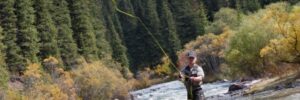 Person fly fishing while standing in a shallow river surrounded by dense forest and autumn foliage.