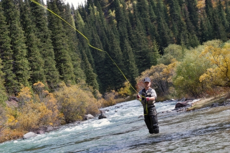 Person fly fishing while standing in a shallow river surrounded by dense forest and autumn foliage.