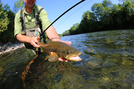 Angler in waders holding a freshly caught trout over a shallow, clear river with green trees in the background.