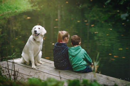 A dog sits on a wooden dock beside two children who are looking at the water in a green, outdoor setting.