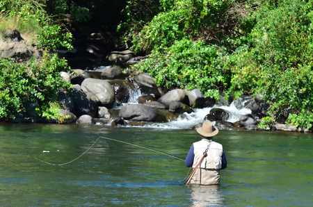 Person in a hat and vest fly fishing in a river near rocks and dense green foliage.