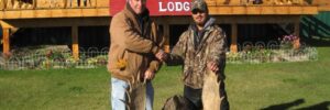 Two men shake hands in front of Lawrence Bay Lodge, posing with a large moose rack on the grass.