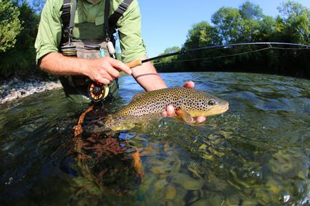 Person holding a brown trout with one hand while fly fishing in a clear river surrounded by trees.