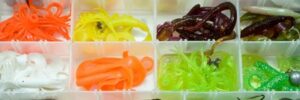 A tackle box with assorted plastic fishing lures and soft baits organized by color and shape in compartments.