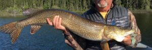 Man sitting in a boat holds a large fish horizontally with both hands; forest and lake in the background.