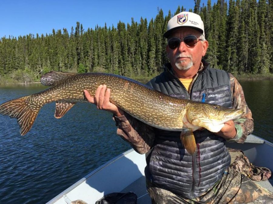 Man sitting in a boat holds a large fish horizontally with both hands; forest and lake in the background.