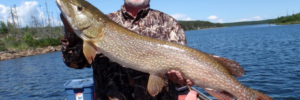 Man in camouflage shirt and hat holding a large fish on a boat in a lake on a clear day.