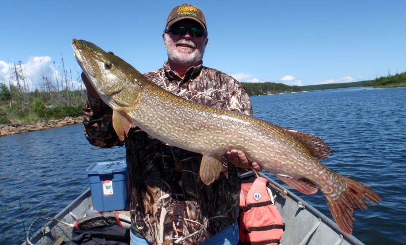 Man in camouflage shirt and hat holding a large fish on a boat in a lake on a clear day.