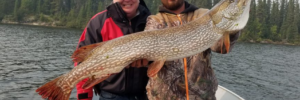 Two men in a boat hold a large, freshly caught fish with a forest and lake in the background.