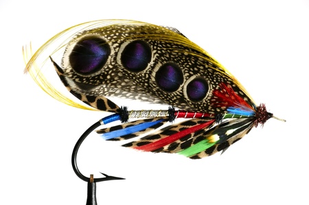 A decorative fishing fly with colorful feathers and metallic thread, attached to a black hook against a white background.