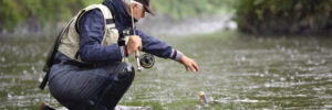 A person in fishing gear kneels in a river, reaching toward a fish caught on a fishing line.