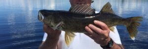 Person in a hat and sunglasses holding a large fish on a boat, with a lake and forested shoreline in the background.