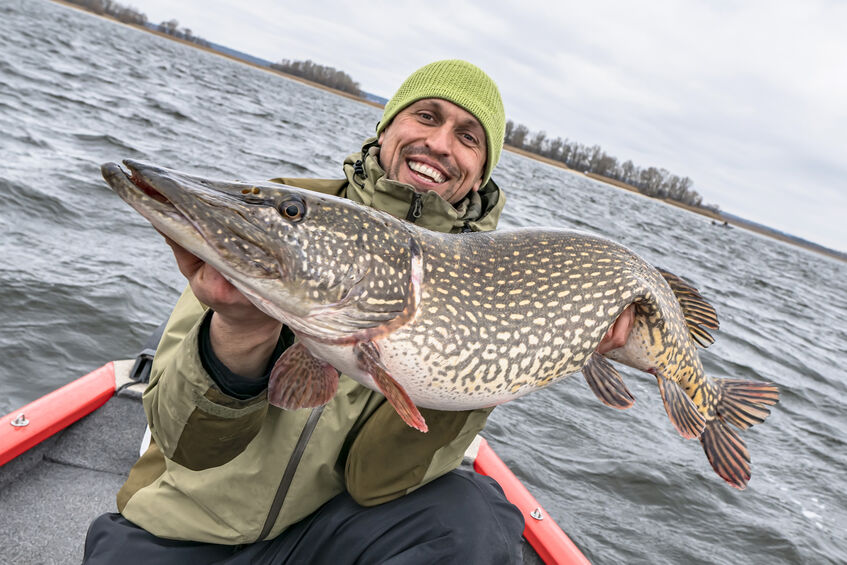 Person in a green hat and jacket holding a large fish while sitting in a boat on a lake.