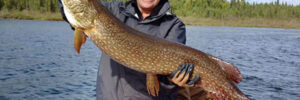 Person standing on a boat holds a large fish with a lake and forested shoreline in the background.