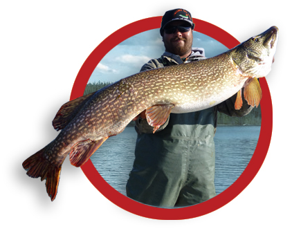 Fisherman holding large Northern Pike