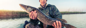 A person in camouflage clothing holds a large fish on a boat by the water during daylight.