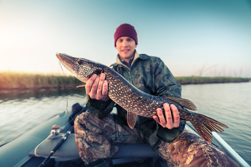 Fisherman sitting in the boat and holding the pike (2kg (4.4 lbs)) with calm sunset lake on the background