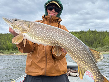 Man holding large fish 4