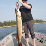 Person standing on a boat holding a large fish with trees in the background.