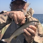Older man in a camo jacket and blue cap holding a small fish against a clear sky and water background.