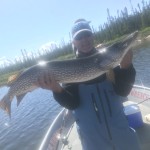 Individual holding a large fish on a boat in a lake, surrounded by pine trees under a partly cloudy sky.