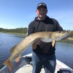 Person standing on a boat, holding a large northern pike fish, with a lake and forested shoreline in the background.