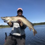 Person holding a large fish on a boat in a lake with a forested shoreline in the background under a clear blue sky.