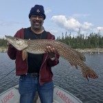 A person wearing a blue beanie holds a large fish while standing in a boat on a lake, surrounded by trees and clear skies.