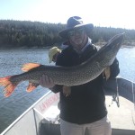 Person holding a large fish on a boat, wearing a wide-brimmed hat and sunglasses, with a wooded shoreline in the background.