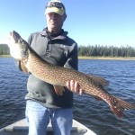 Person holding a large fish on a boat with water and a forested background under a clear blue sky.