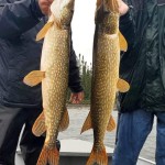 Two people on a boat holding large fish vertically, smiling and wearing rain gear. Overcast sky and water in the background.