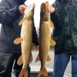 Two people in rain gear holding large fish on a boat. Both are smiling despite the wet weather and overcast sky.