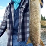 Person in a plaid shirt and blue pants holding a large fish on a boat against a background of water and trees.