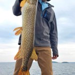 A man wearing sunglasses holds up a large fish on a boat, with a cloudy sky and water in the background.