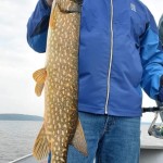 Person in a blue jacket and hat holding a large fish vertically on a boat with water in the background.