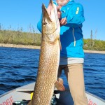 Man in blue jacket holding a large fish on a boat with trees and water in the background under a clear blue sky.