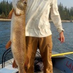 Person holding a large fish on a boat, with trees and water in the background.