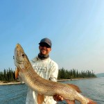 Person on a boat holding a large fish, with a wooded shoreline and blue sky in the background.