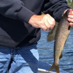 Person in jeans and a black sweatshirt holds a freshly caught fish by the mouth near a lake with trees in the background.